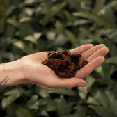 Kiefernrinde vor weißem Hintergrund, Produktfoto 3.