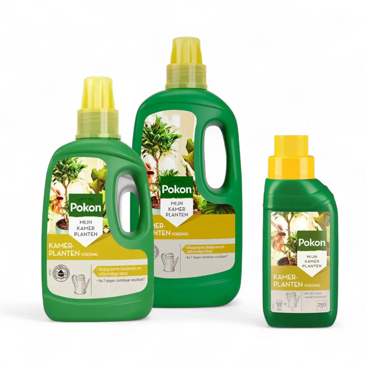 Pokon Houseplants Food main product photo on white background.