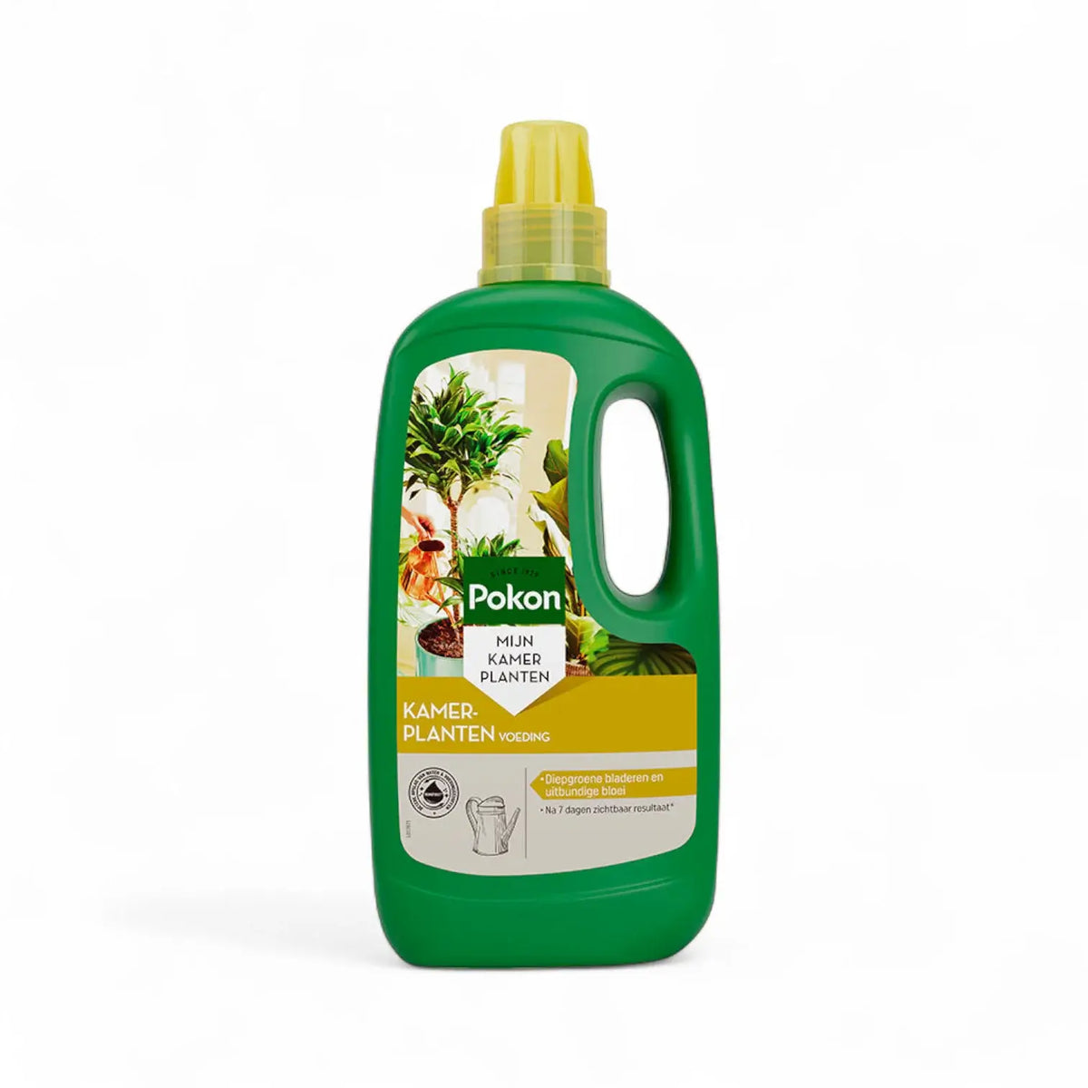 Pokon Houseplants Food on white background, product photo 8.