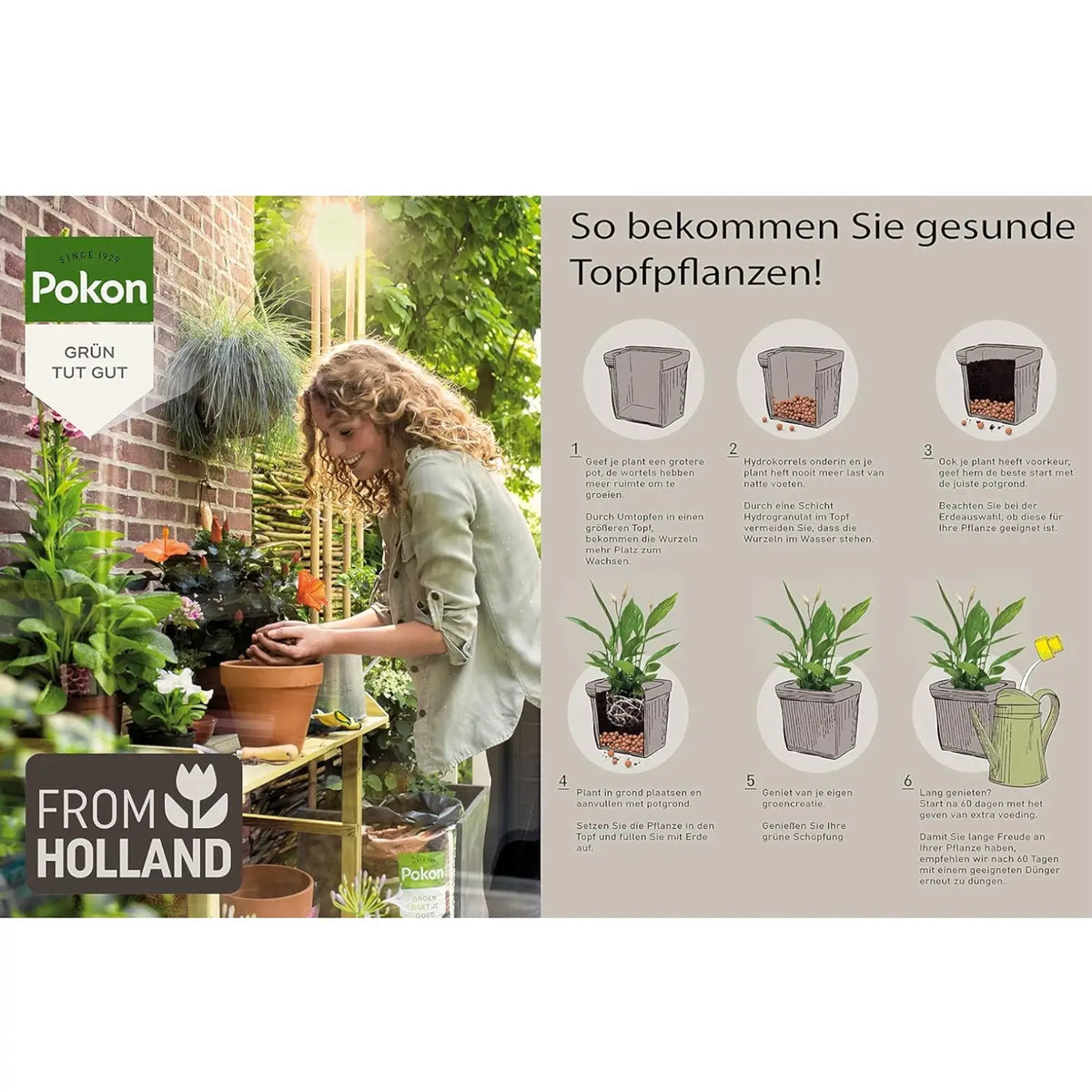 Expanded Clay Balls (LECA) Pokon on white background, product photo 15.