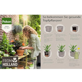 Expanded Clay Balls (LECA) Pokon on white background, product photo 15.