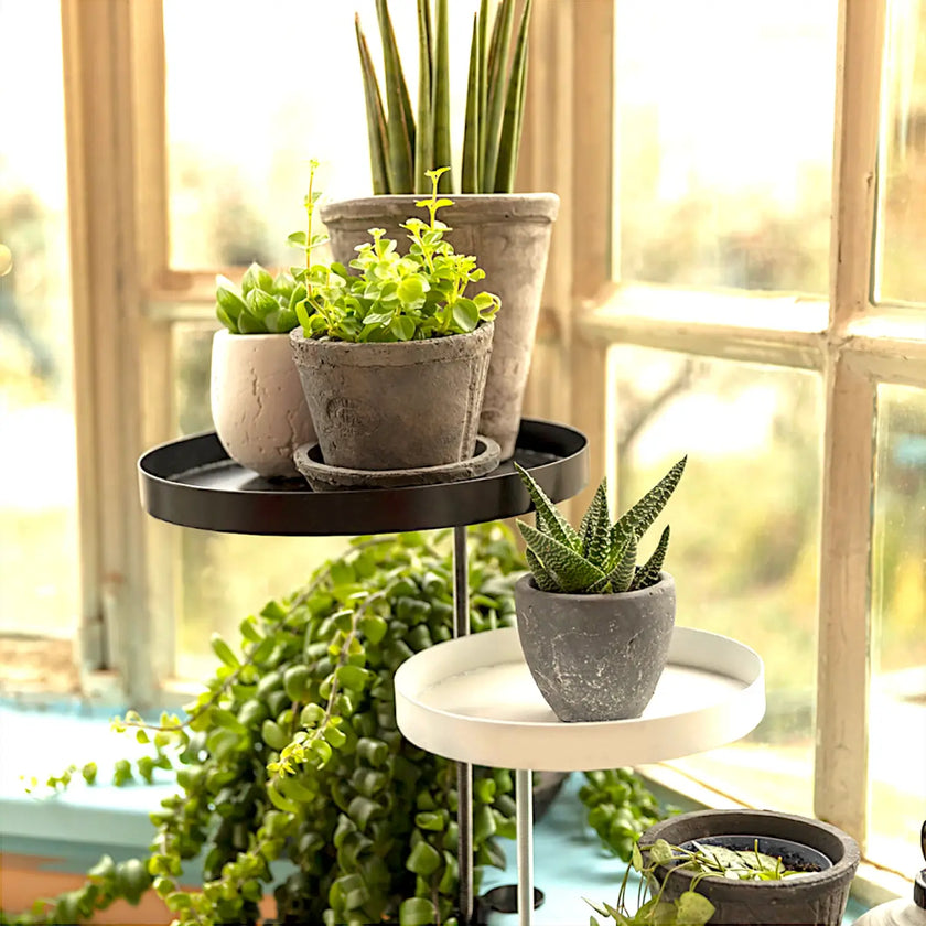 Pot Holder with Clamp main product photo on white background.