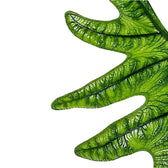 Nahaufnahme eines Blatts von Alocasia 'Jacklyn' vor weißem Hintergrund.