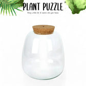 Plant puzzle terrarium jar on white background, product photo 3.