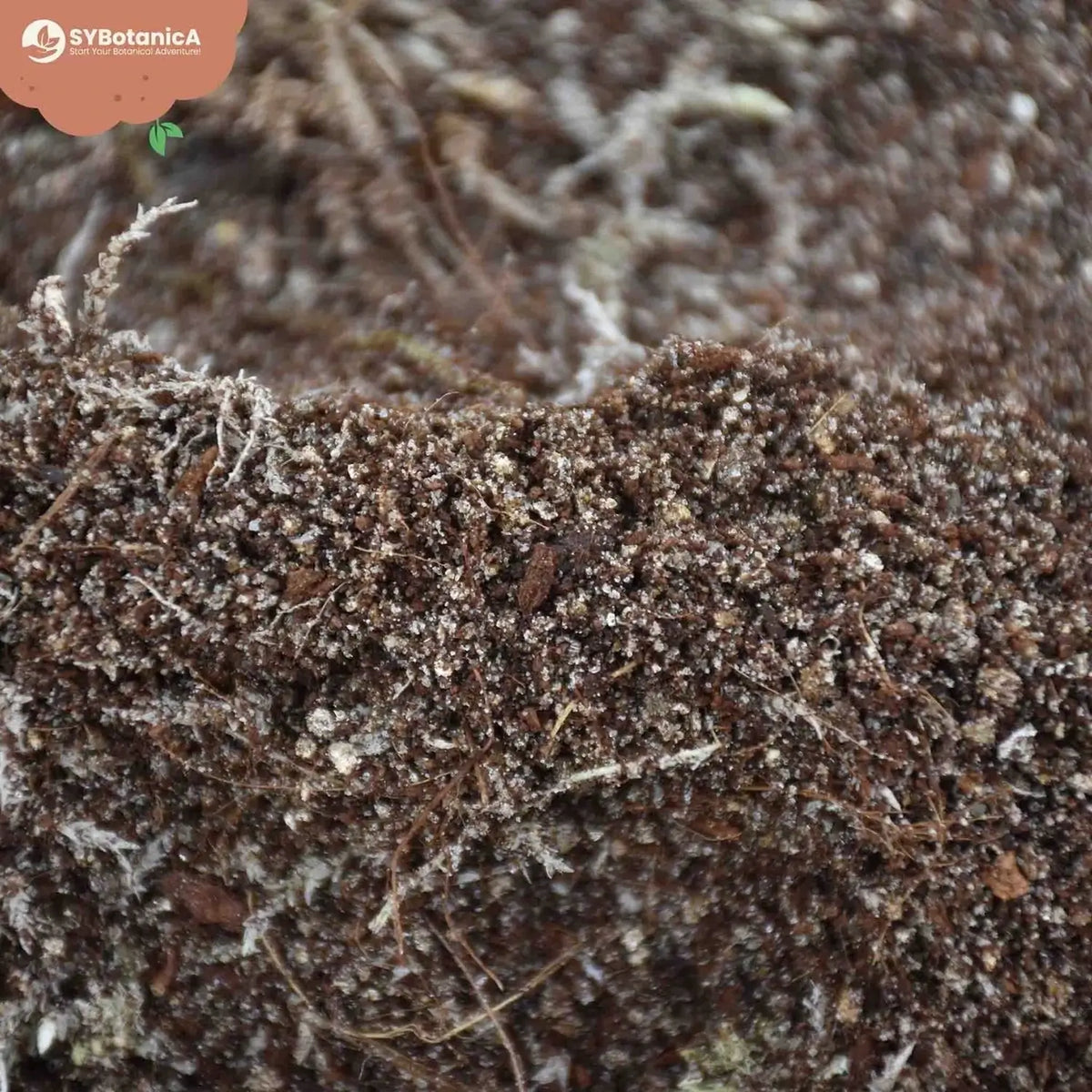 Carnivorous Plant Soil Mix on white background, product photo 8.