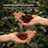 Anthurium Soil Mix on white background, product photo 8.