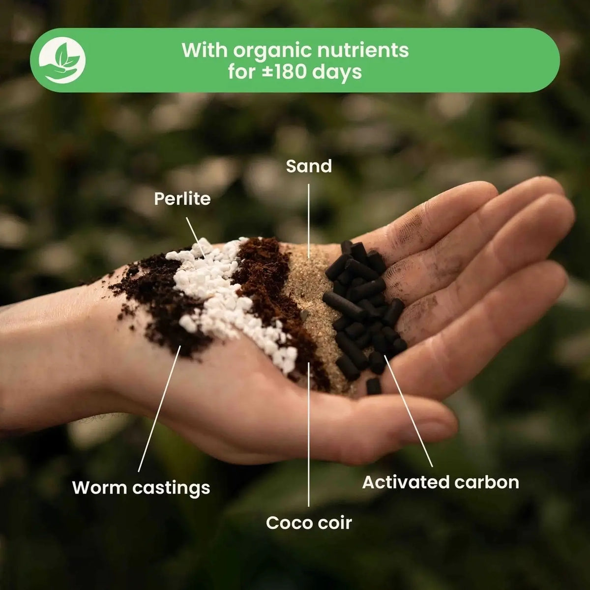 Farn-Substratmischung vor weißem Hintergrund, Produktfoto 3.