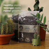 Cacti & Succulent Soil Mix on white background, product photo 10.
