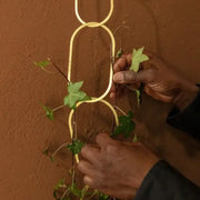Goldene Messingkette – Pflanzenstütze für Kletterpflanzen, Haupt-Produktfoto auf weißem Hintergrund.