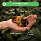 Orchid Potting Mix on white background, product photo 3.