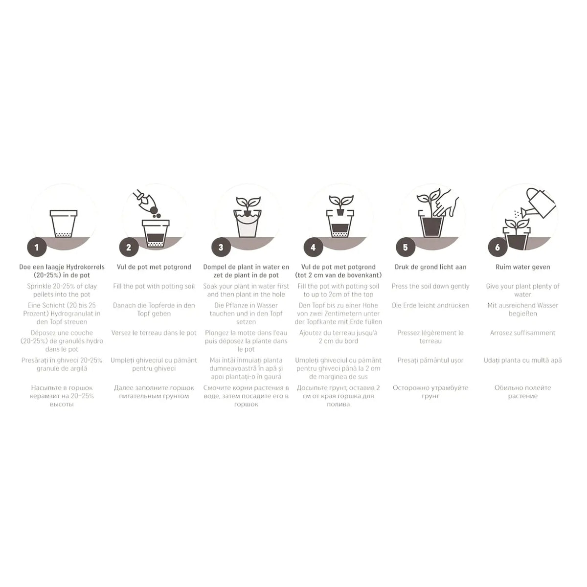 Pokon Palmenerde vor weißem Hintergrund, Produktfoto 3.