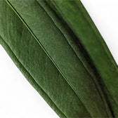 Nahaufnahme eines Blatts von Anthurium bakeri vor weißem Hintergrund.