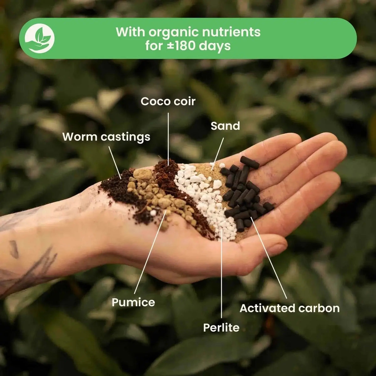 Cacti & Succulent Soil Mix on white background, product photo 3.