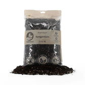 Syngonium-Substratmischung – Haupt-Produktfoto auf weißem Hintergrund.