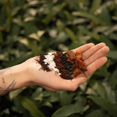 Substratmischung für Aronstabgewächse auf weißem Hintergrund, Produktfoto 2.