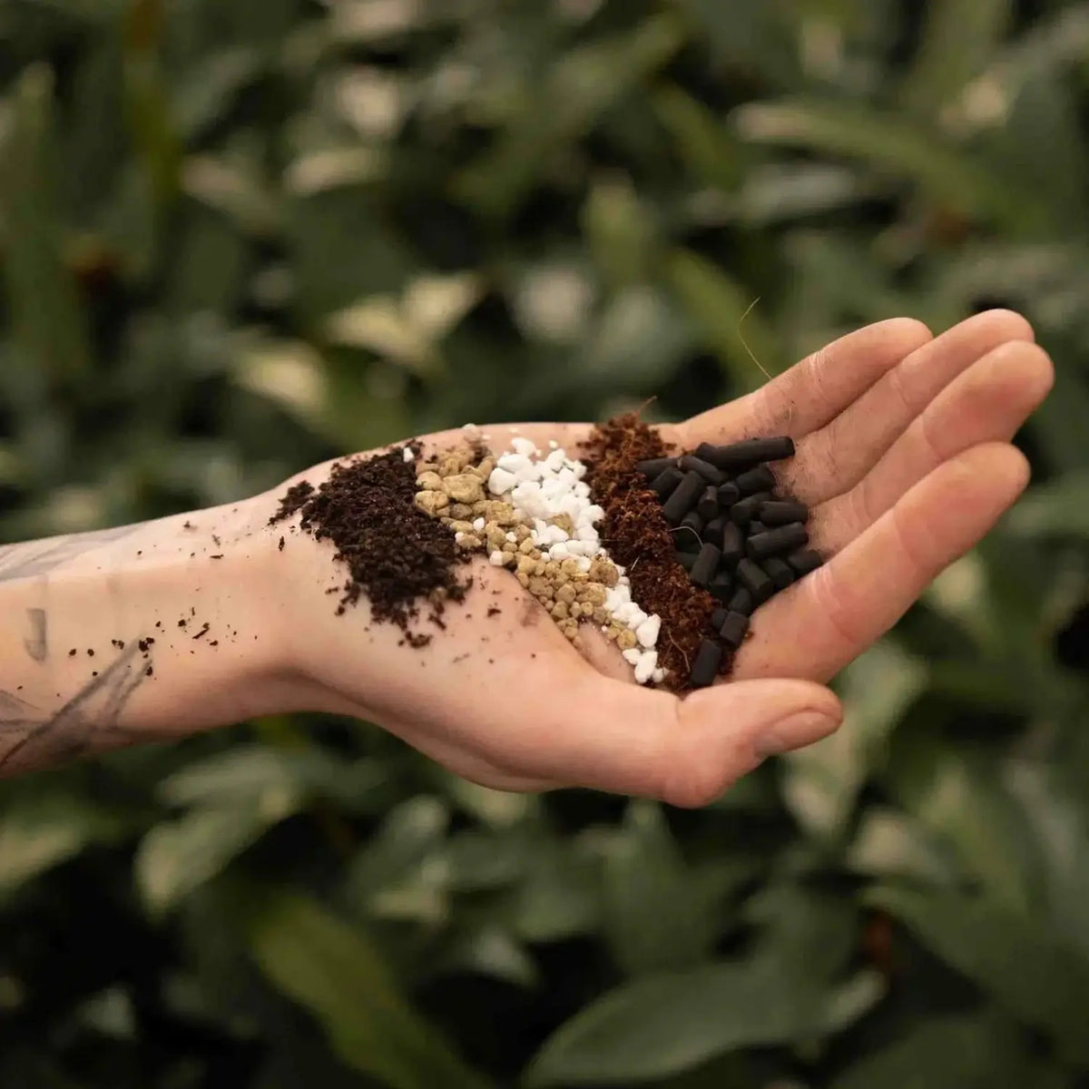 Bonsai Soil Mix on white background, product photo 2.