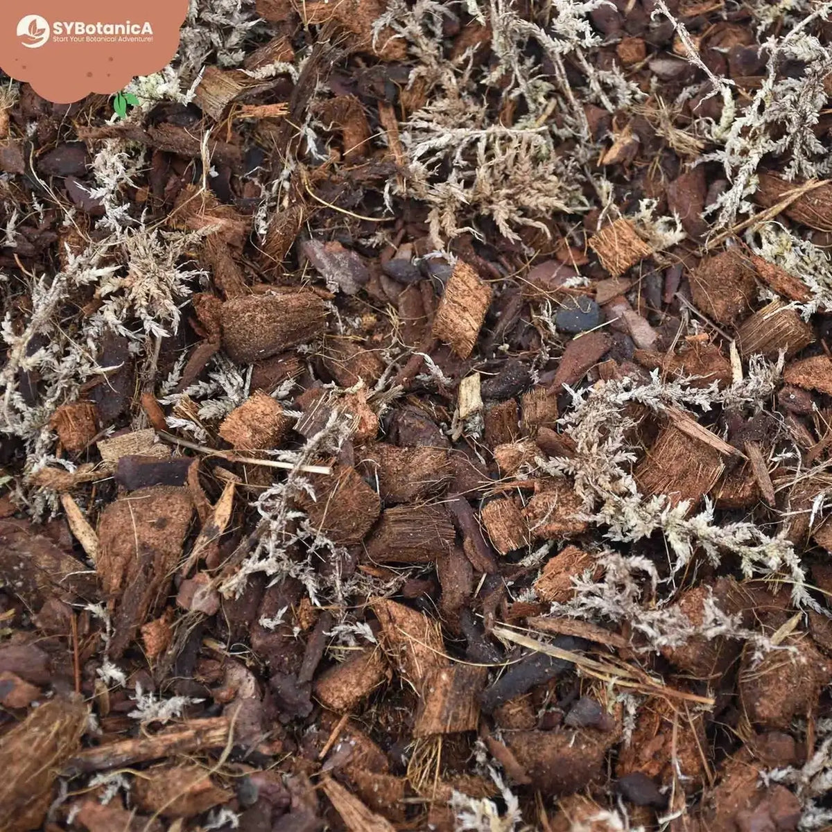 Orchid Potting Mix on white background, product photo 11.