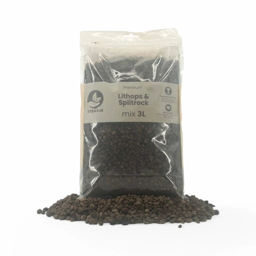 Lithops and Split Rock Soil Mix main product photo on white background.