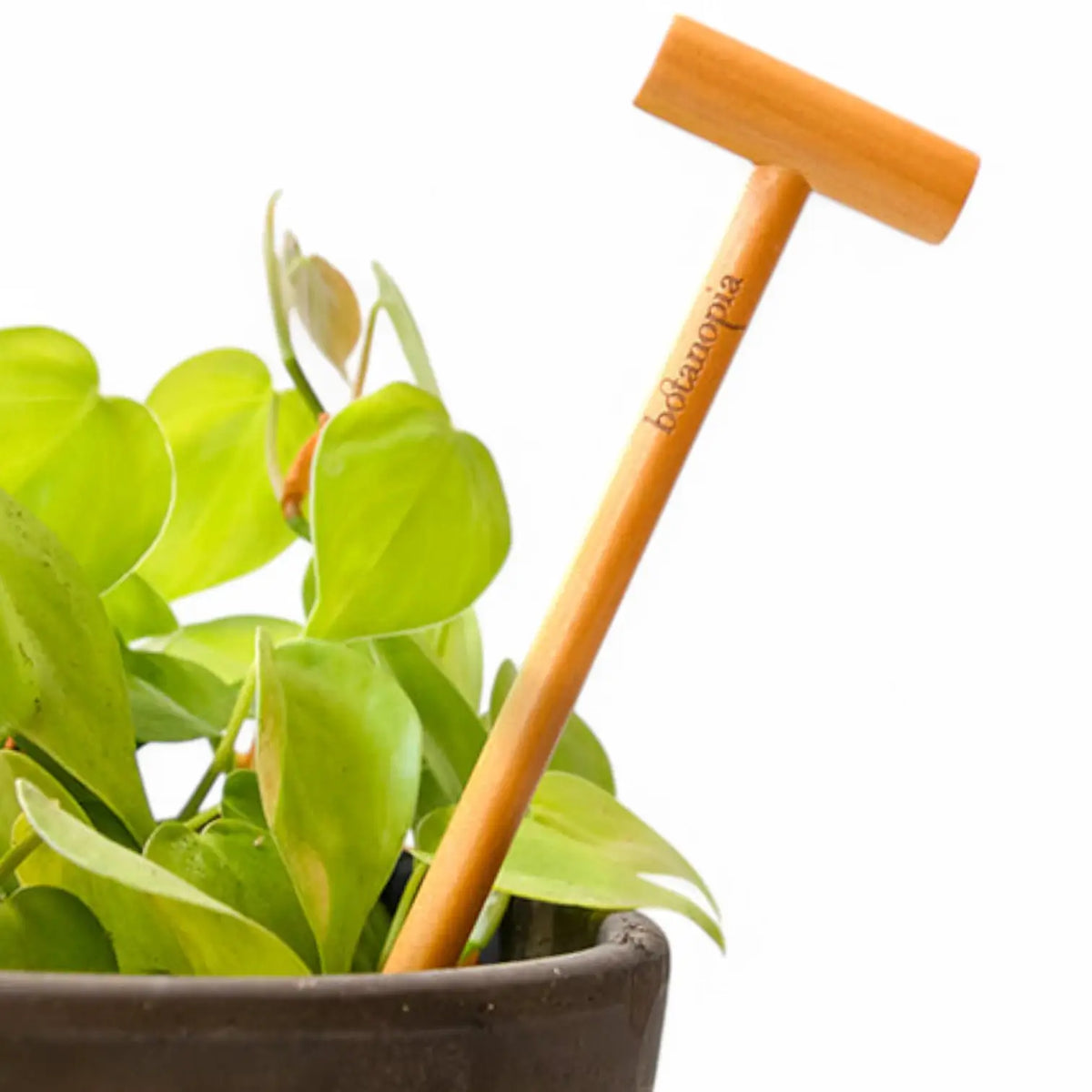 The Soil Checker auf weißem Hintergrund, Produktfoto 3.