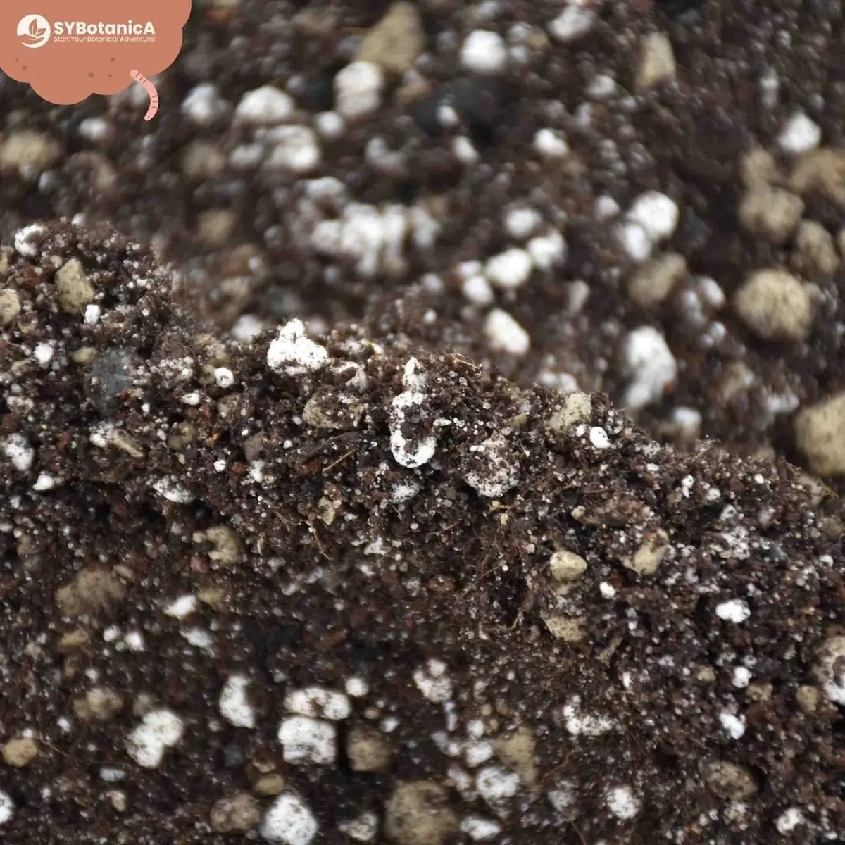 Cacti & Succulent Soil Mix on white background, product photo 11.