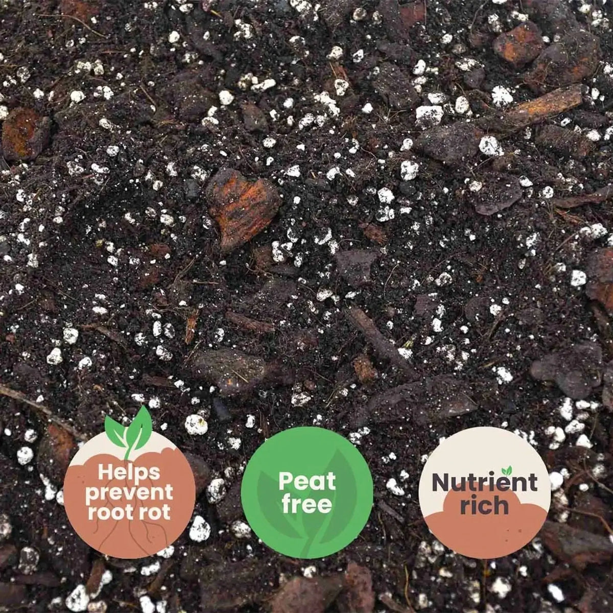 Anthurium Soil Mix on white background, product photo 5.