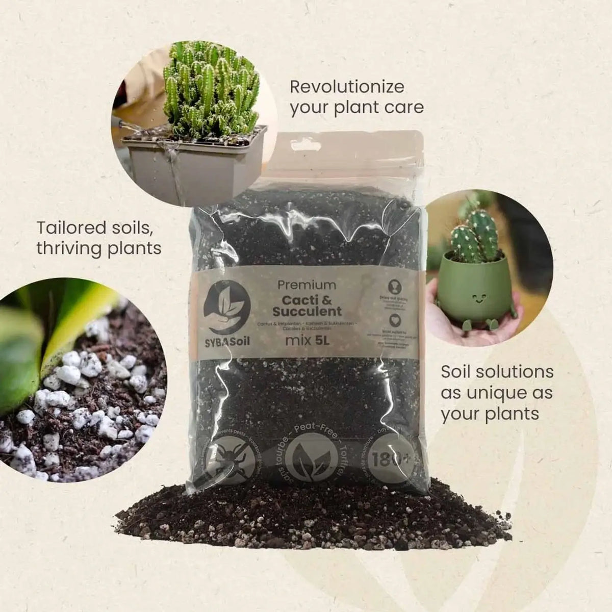 Cacti & Succulent Soil Mix on white background, product photo 5.