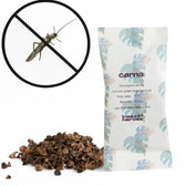 Chrysoperla carnea - gegen Blattläuse und Thripse vor weißem Hintergrund, Produktfoto 5.