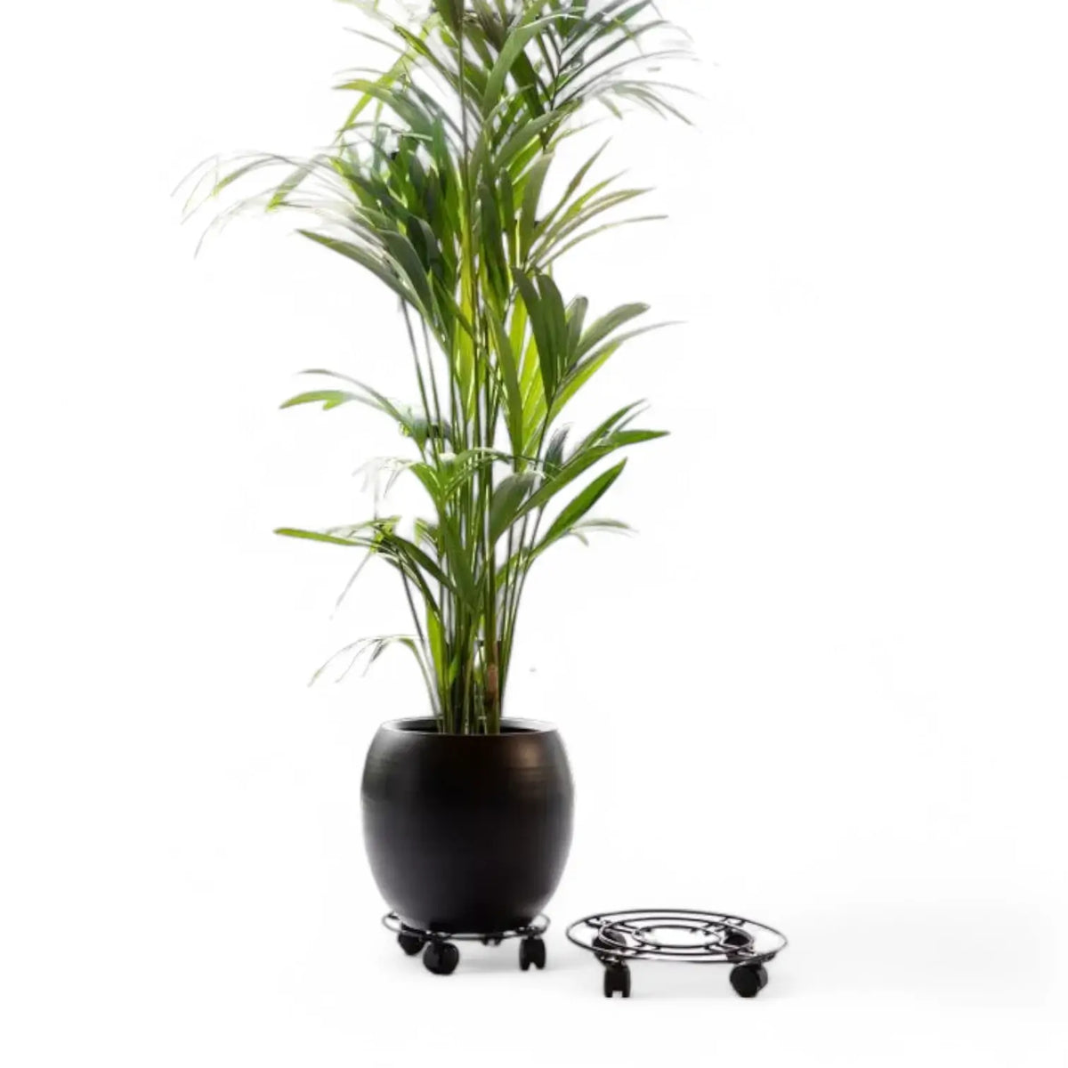 Metal Plant Trolley on white background, product photo 3.