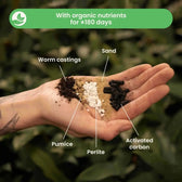 Lithops and Split Rock Soil Mix on white background, product photo 3.