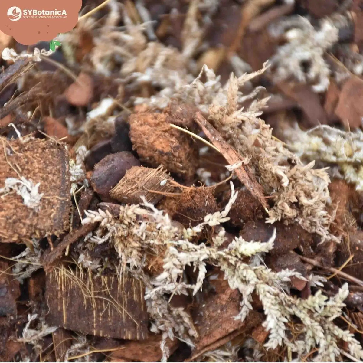 Orchid Potting Mix on white background, product photo 10.