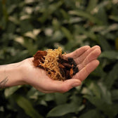 Orchid Potting Mix on white background, product photo 2.