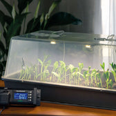 Romberg Greenhouse Maximus Complete LED on white background, product photo 2.