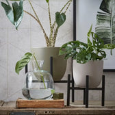 Pflanzenständer 'Ascot' vor weißem Hintergrund, Produktfoto 10.