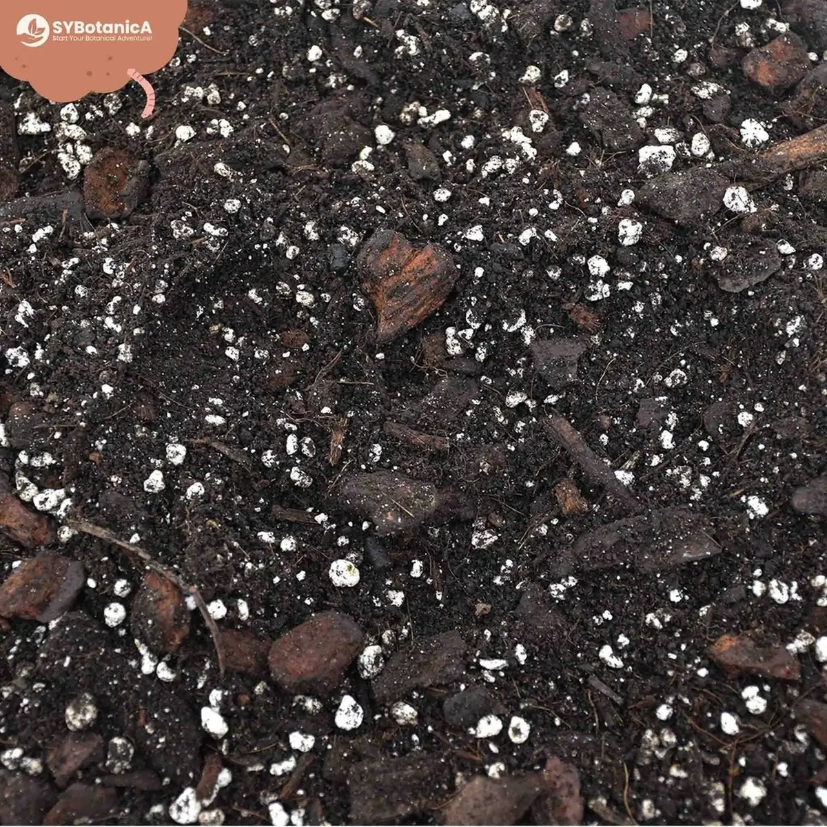 Anthurium Soil Mix on white background, product photo 10.