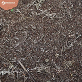 Carnivorous Plant Soil Mix on white background, product photo 4.