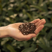 Ficus Soil Mix on white background, product photo 3.