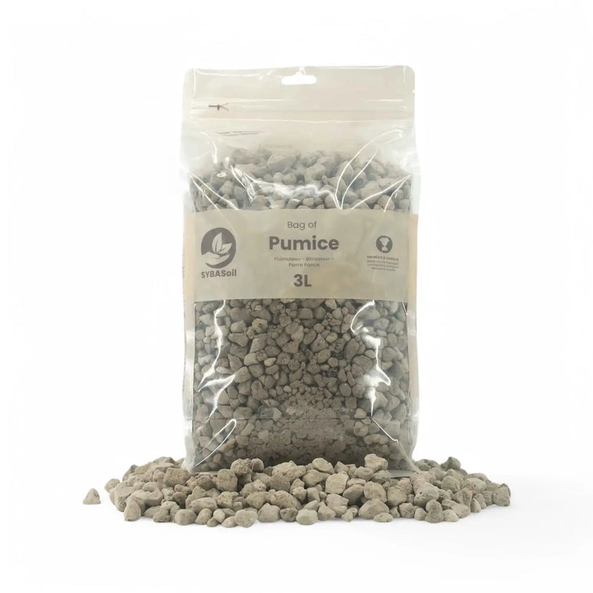 Pumice main product photo on white background.