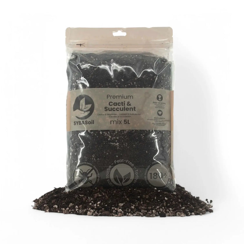 Cacti & Succulent Soil Mix main product photo on white background.