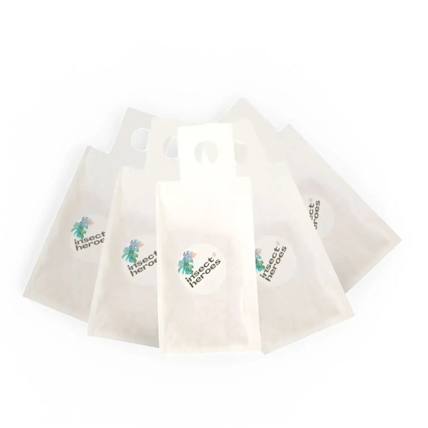 Amblyseius swirskii – Biological Control for Thrips & Whiteflies on white background, product photo 2.