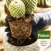 Pokon Cactus Potting Soil on white background, product photo 3.