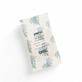 Phytoseiulus persimilis - gegen Spinnmilben vor weißem Hintergrund, Produktfoto 3.