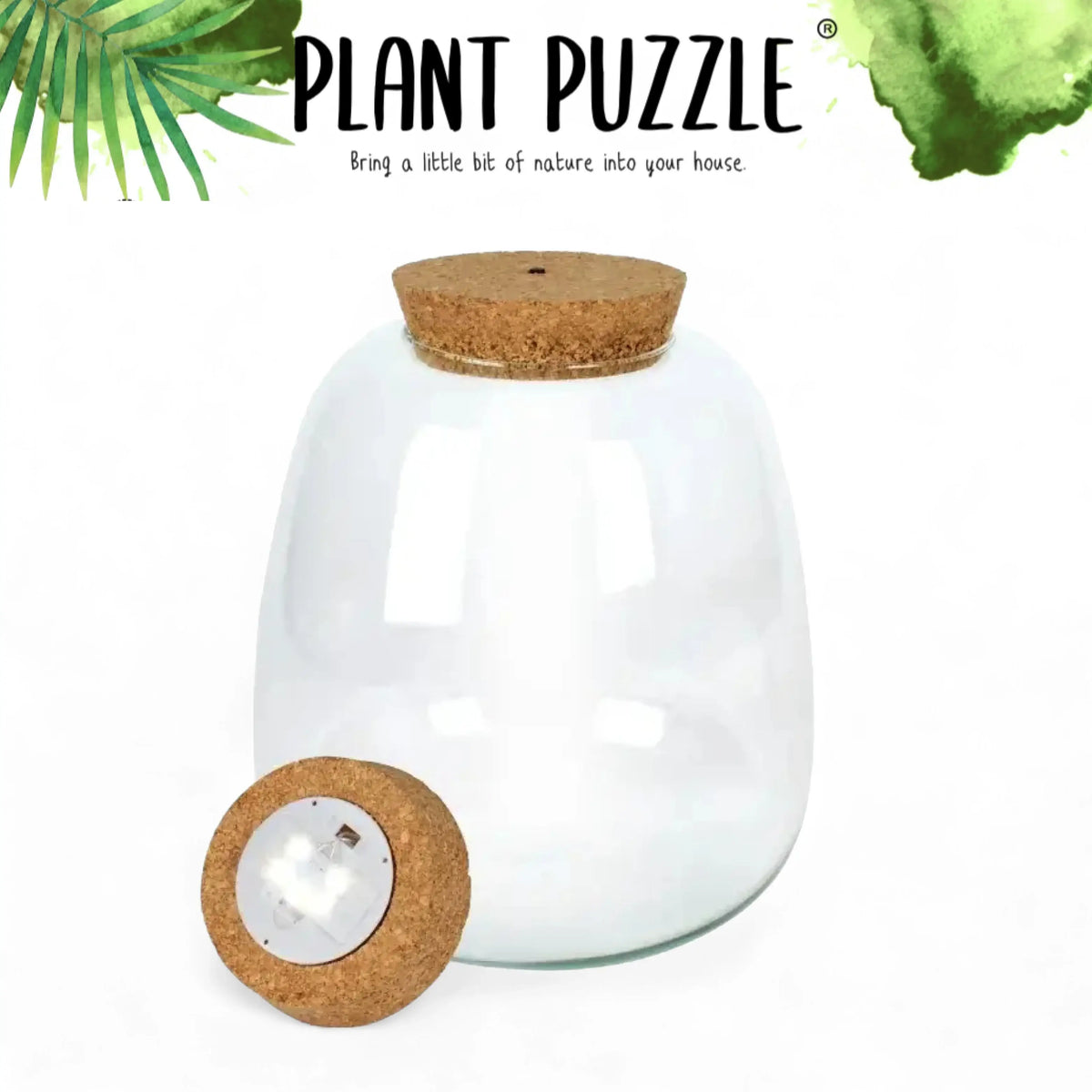 Plant puzzle terrarium jar on white background, product photo 5.