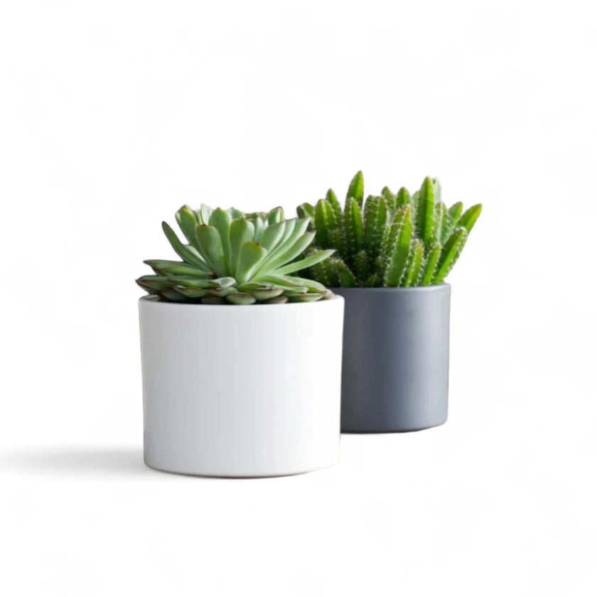 Planter 'Era' on white background, product photo 3.