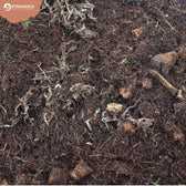 Terrarium-Substratmischung auf weißem Hintergrund, Produktfoto 6.