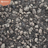 Lithops and Split Rock Soil Mix on white background, product photo 5.