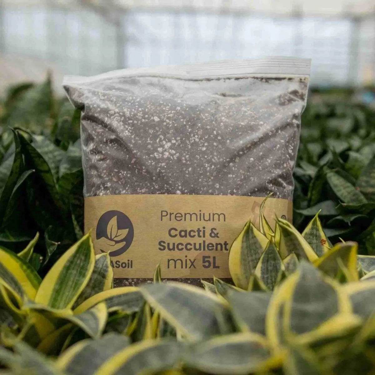 Cacti & Succulent Soil Mix on white background, product photo 12.