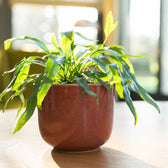 Planter 'Nine' on white background, product photo 5.