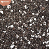 Farn-Substratmischung vor weißem Hintergrund, Produktfoto 6.