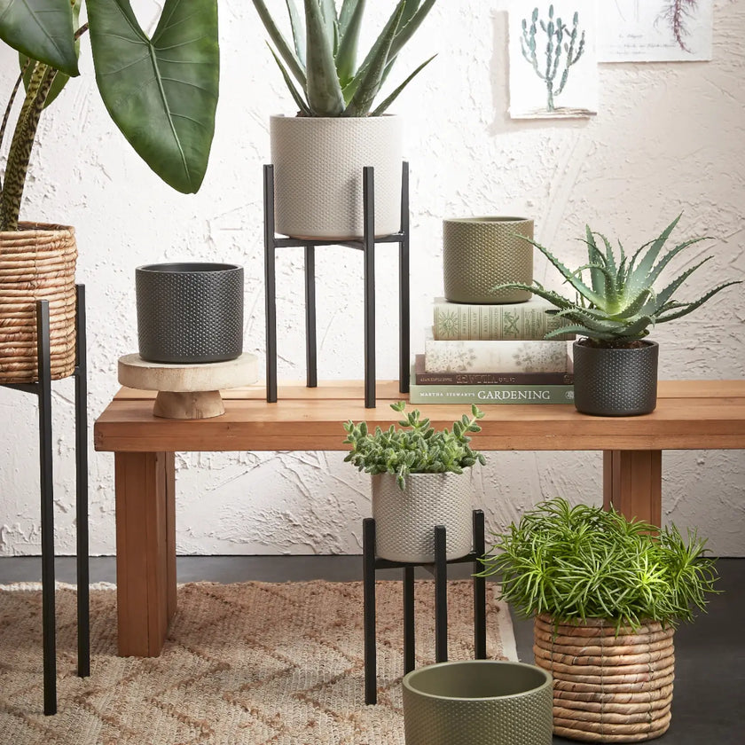 Plant stand 'Ascot' main product photo on white background.