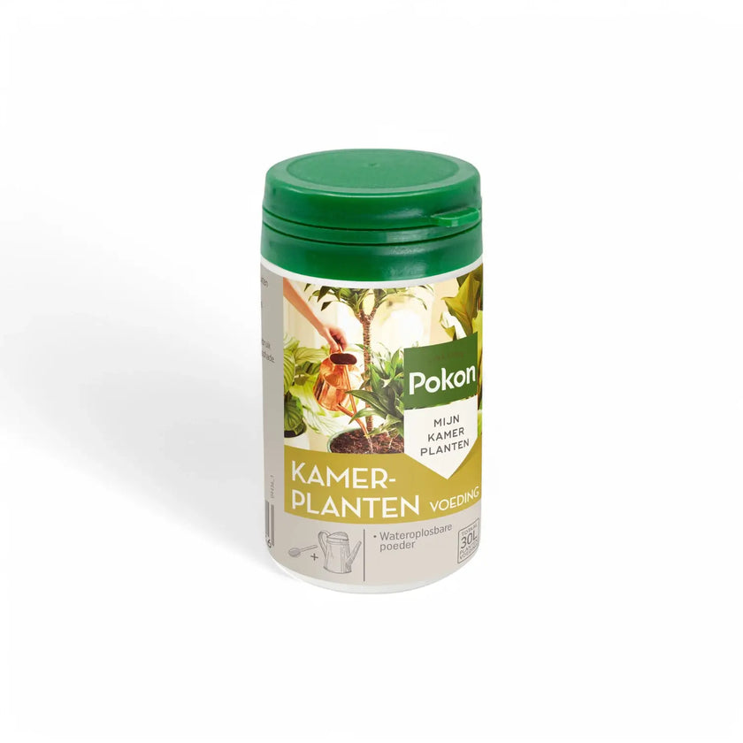 Pokon Houseplant Fertilizer Powder main product photo on white background.